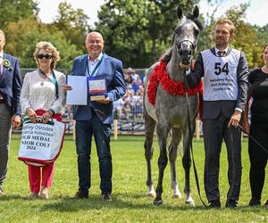 Prawie 640 tys. euro za konie na aukcji Pride of Poland