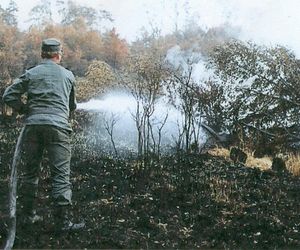 Tragiczna burza ogniowa. To był największy pożar lasu w Europie