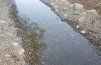 Wyremontowany Park Grabek w Czeladzi