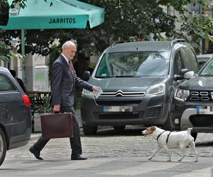 Chodzi bo nie może jeździć