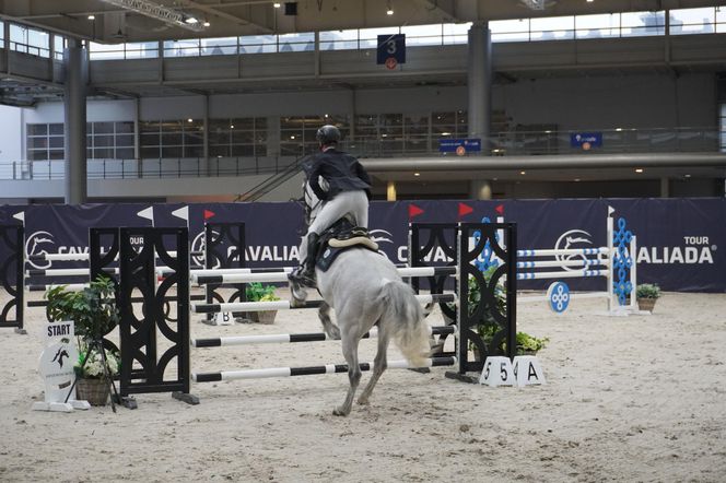 Cavaliada 2024. Pierwszy dzień rywalizacji w Poznaniu