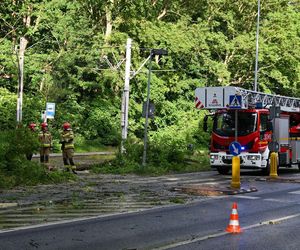 Burze nad Polską. Kilkaset interwencji strażaków