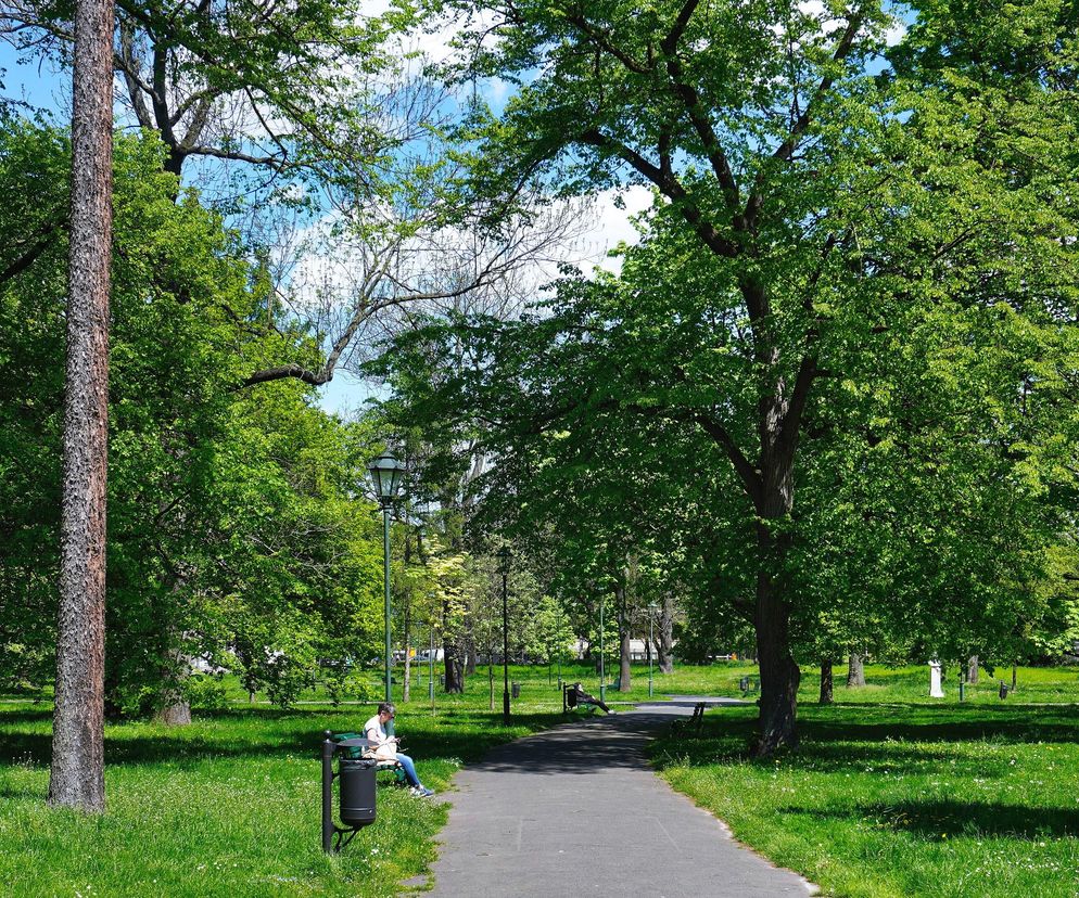 To najpiękniejszy park w Krakowie według AI. Stanowi zieloną enklawę w centrum miasta [GALERIA]