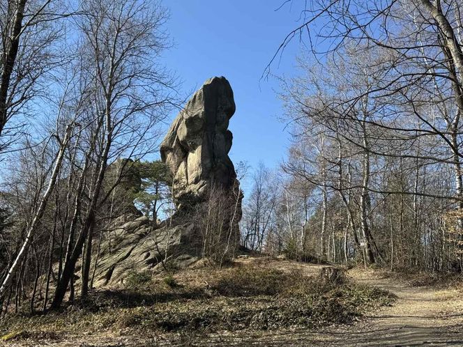 Podkarpackie Prządki - niezwykłe miejsce na spacer 