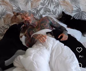 Te psy skradły serca gwiazd! Niektóre wyglądają jak z bajk