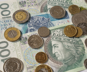 Ile kosztuje dolar, euro, frank? Złoty względnie stabilny
