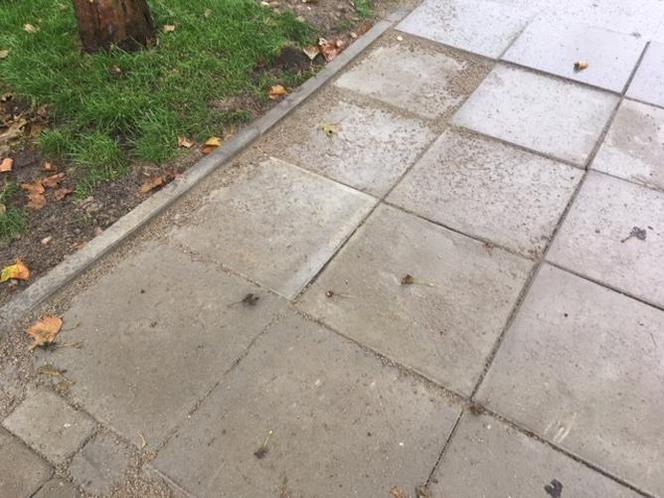 Ten chodnik powstał w jedną noc! Zdenerwowani mieszkańcy wzięli sprawy w swoje ręce