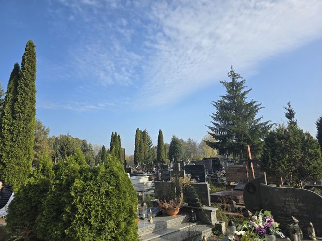 Uroczystość Wszystkich Świętych