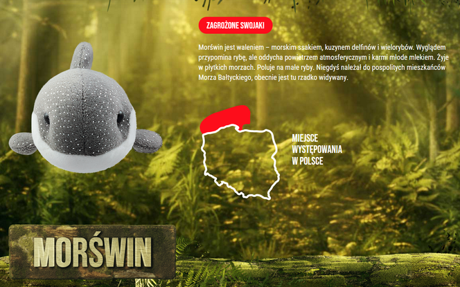 Koniec Gangu Swojaków