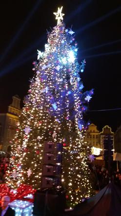 Choinka na Starym Rynku w Poznaniu