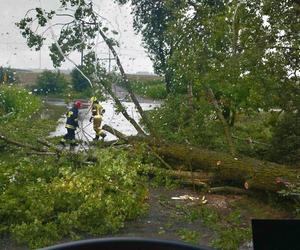  Burzowa noc w regionie Świętokrzyskim! Grad, połamane drzewa, zalane ulice