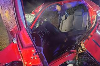 Pojechali do sklepu, rozbili się na drodze. Nie żyją trzej kumple z Kąśnej Górnej