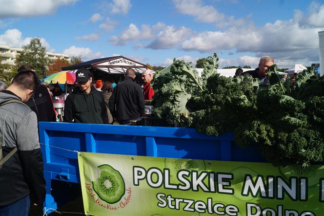 Piknik Wiejskiej Żywności, czyli radosne biesiadowanie w Fordonie [ZDJĘCIA] 