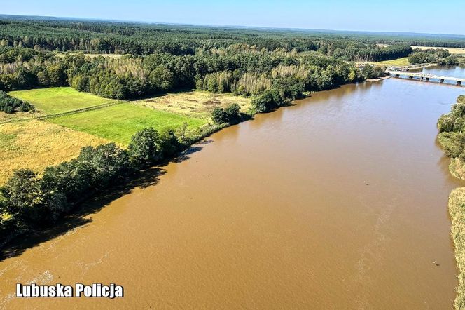 Fala powodziowa na Odrze dotarła do województwa lubuskiego. Działania służb