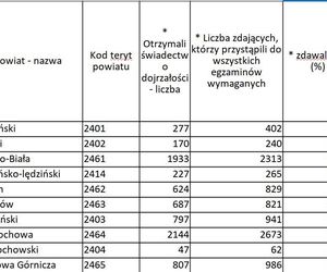 Wyniki zdawalności matury 2025 w miastach i powiatach województwa śląskiego