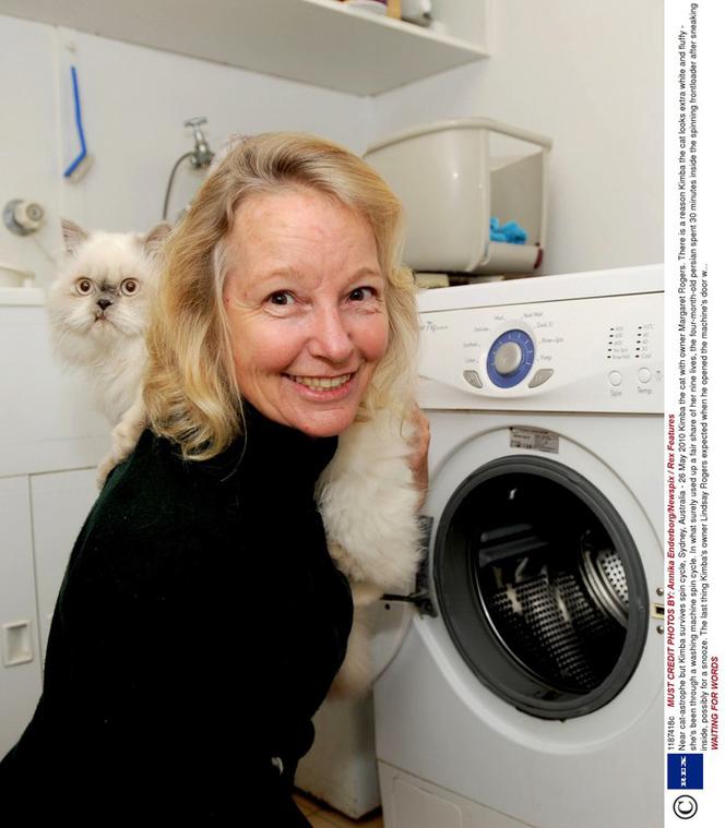 Kot wyprany w pralce