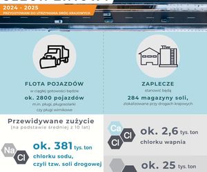 Drogowcy z GDDKiA meldują gotowość przed zimą 2024/2025