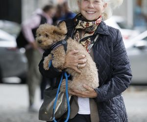 Te psy skradły serca gwiazd! 