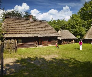 Największe muzea w województwie śląskim. Są imponujące  Aktywny