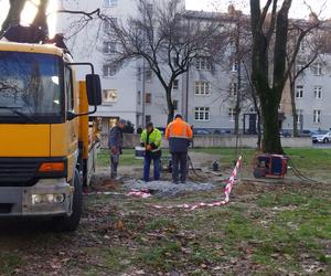 Usunięcie pomnika ks. Idziego Radziszewskiego ze skweru im. abp. J. Życińskiego