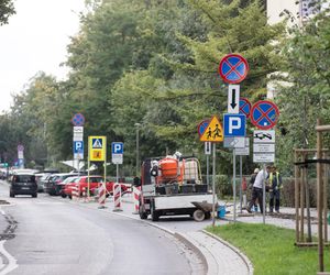 NIK potwierdza: polskie drogi są źle oznakowane. 147 znaków na rondzie w Warszawie 