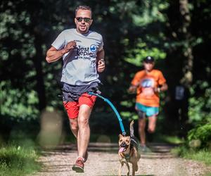 Parkrun Las Aniołowski w Częstochowie. Biegowa rekreacja na 5 kilometrach [ZDJĘCIA]