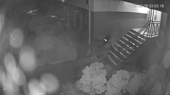 Ktoś rozpylił śmierdzącą substancję na samochód i budynek