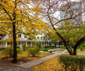 Bloki Bohdana Pniewskiego przy Boya-Żeleńskiego w Warszawie