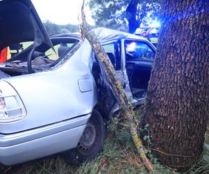 Wielkopolskie. Mercedes uderzył w drzewo! 26-letni pasażer nie żyje! 