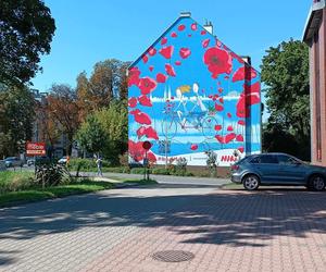 Odwiedziliśmy nowy mural we Wrocławiu. Musimy przyznać - robi wrażenie! Zobaczcie, jak wygląda