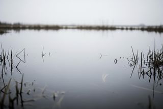 Wychłodzony maluch z Bielsko-Białej. Co wydarzyło się poza domem?