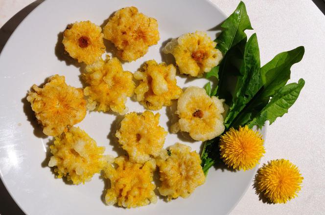 Uczta z chwastami w roli głównej