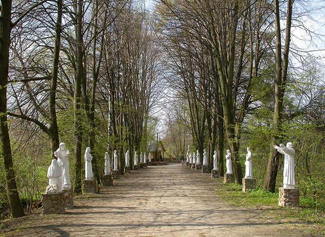 Święta Otylia