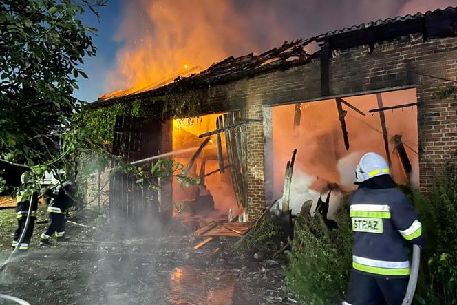 Dwa konie zginęły w pożarze stodoły w Dąbrowie Rusieckiej. Z ogniem walczyło 30 strażaków