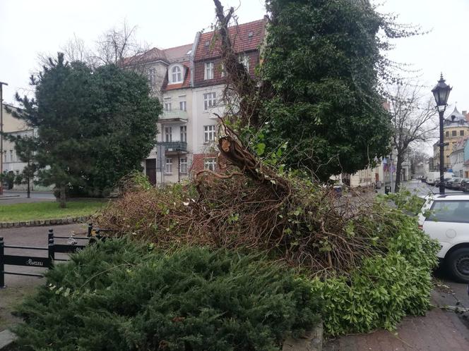 Trwa szacowanie szkód po wichurze nad Lesznem