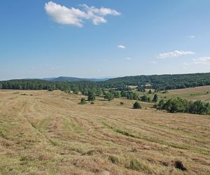 Opustoszałe miejsce w Małopolsce. Po wojnie wysiedlono stamtąd wszystkich mieszkańców 