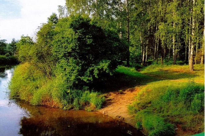 W Olsztynie powstanie nowa przystań kajakowa? Radny wskazał idealne miejsce do jej utworzenia [ZDJĘCIA]