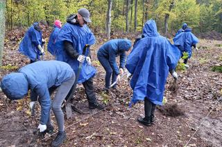 Operacja czysta rzka sadzi las