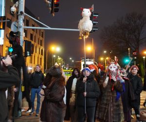 Podkoziołek 2025. Kolorowy pochód w Poznaniu