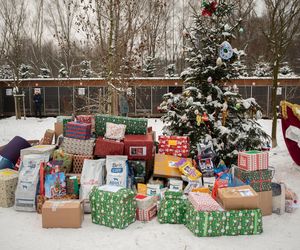  Trwa akcja Paczka dla Zwierzaczka. Każdy może zostać Świętym Mikołajem i pomóc czworonogom!