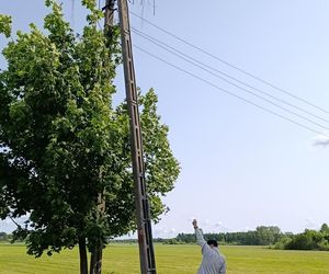 Ratował boćka na słupie, spadł z drabiny