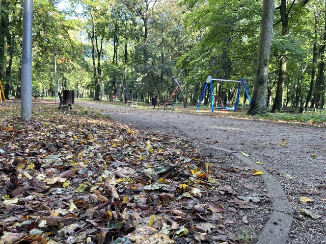 Park Kopernika w Gorzowie w jesiennej scenerii