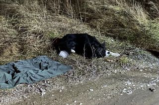  Zaginiony 57-latek spod Radomska nie żyje. To nie koniec poszukiwań