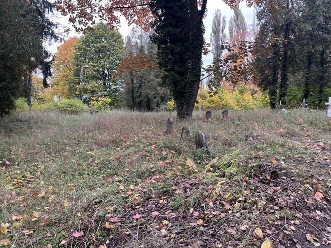 Cmentarz w Gorzowie, który odstrasza mieszkańców