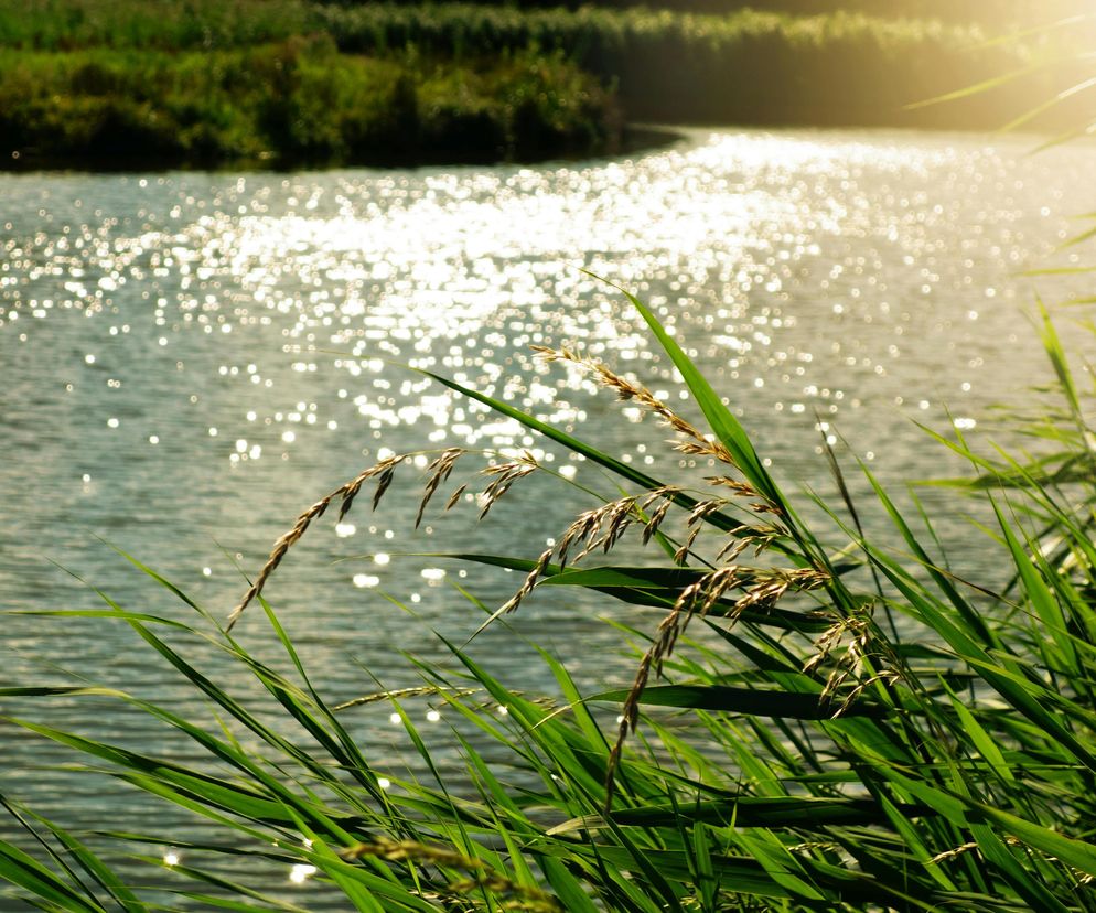 Tu miało być nowe jezioro w woj. lubelskim. Natura zrobiła psikusa