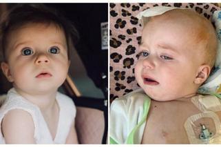 Arianka walczyła o życie. Nadeszły smutne wieści. „Odeszła tam, gdzie bólu i smutku już nie ma”