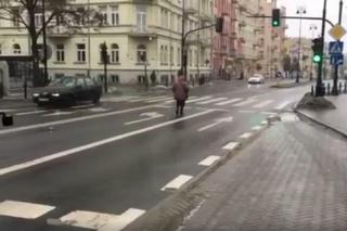 Śliskie chodniki w Lublinie! Staruszka znalazła na nie sposób. ZOBACZCIE! [WIDEO]