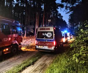 Pijany Damian uciekał przed policją aż wylądował na dachu! Zaskakujące fakty. W aucie było 6 dzieci [ZDJĘCIA]