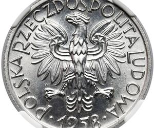 5 zł, 1971 rok