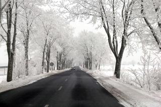                                       droga, jezdnia, śnieg, zima